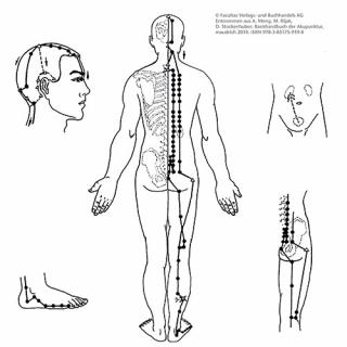 Zusatzmaterial zum Buch TCM: Illustration zeigt Blasenmeridian
