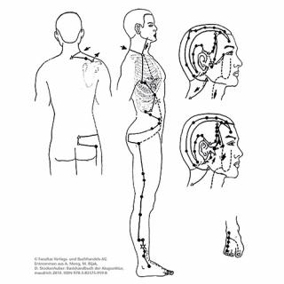 Zusatzmaterial zum Buch TCM: Illustration zeigt Gallenblasenmeridian
