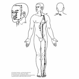 Zusatzmaterial zum Buch TCM: Illustration zeigt Magenmeridian
