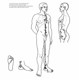 Zusatzmaterial zum Buch TCM: Illustration zeigt Nierenmeridian