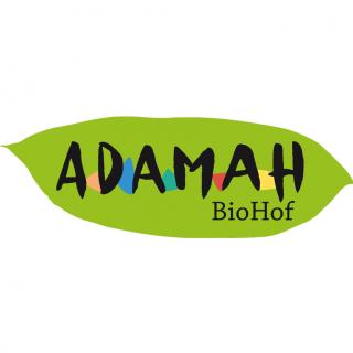 Bild zeigt das Logo von Adamah